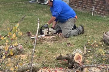 tree removal mooresville, in