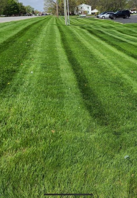 grass cutting Mooresville, IN