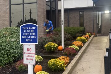 Commercial Lawn Treatments